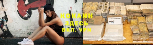 стафф Надым