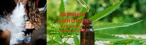 стафф Надым