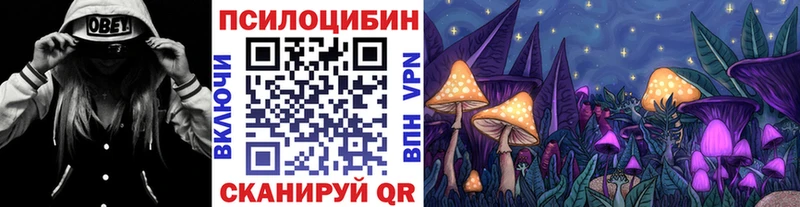 где купить   Каргополь  Псилоцибиновые грибы прущие грибы 
