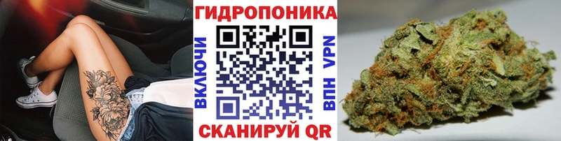 Канабис гибрид  даркнет сайт  Каргополь 